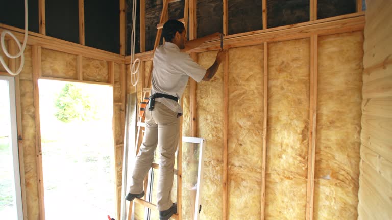 Best Blown-In Insulation  in Camp Point, IL